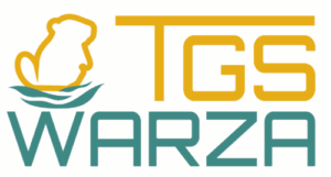 Logo_TGS_Pfade